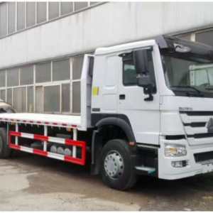 HOWO Cargo Truck (4x2)